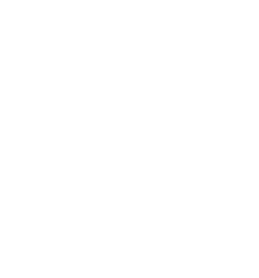 Fastnet Mediation